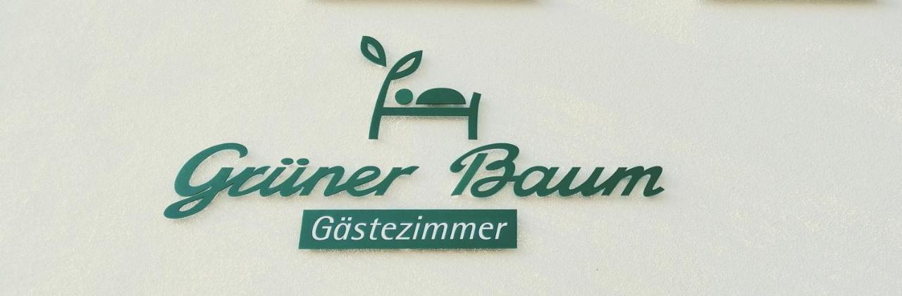 Bed and Breakfast Gruener Baum Langenau Esterno foto